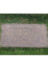 Record image of William M Metzger