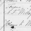Record image of Alfred Wilhelm Ivar Widegren