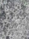 Record image of Samuel Cope