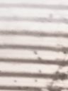 Record image of Kevin Reginald LEE