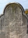 Record image of Sarah Ann Fellows Smith (born Ford)