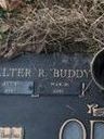 Record image of Walter Ray "Buddy" Odom