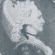 Record image of Maria Katharina Hasenclever (geb. Honsberg)