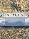 Record image of George Wade Skaggs