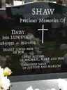 Record image of Daisy Milly Shaw (born Lunjevich)