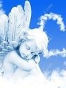 Petit Ange GRASTEAU