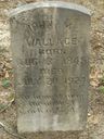 Record image of John Mack *** ### Wallace