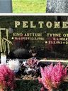 Record image of Tyyne Ottilia Juhontytär Peltonen (o.s. Holkko)