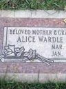Record image of Alice Perkins, Jenson, Allred (born Wardle)