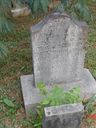 Record image of George Washington Shaw