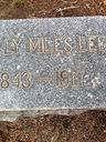 Record image of Sally Ann Lee (born Miles)