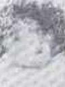 Record image of Olive Beth Chappell