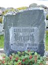 Record image of Carl Edvard Bergroth