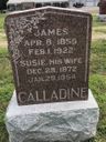 Record image of Susan Florence Calladine (born Gann)