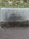 Record image of Frances Josephine "Fannie" Carlton (born Winter)