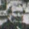 Record image of David Robertson