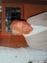 Record image of Arnt Barbakken