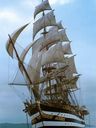 Record image of William I Capt Daniel, Sr.