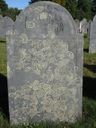 Record image of Jemima Bridget Williams (born Nutting)
