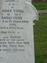 Record image of Sarah VOICE (born Steel)