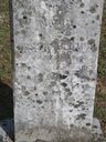 Record image of Nancy Keen Phillips (born Bishop)