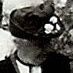 Record image of Elin Amanda Gustavsson (o.s. Nyström)