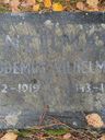 Record image of Wilhelmina Georgsdotter Snellman (o.s. Nummensyrjä)