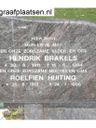 Record image of Roelfien Brakels (geboren Huiting)