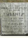 Record image of Zwaantje Boelens