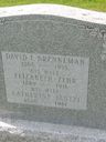 Record image of Catherine Brenneman (born Yantzi)