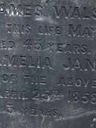 Record image of Amelia Jane Amanda Walsh