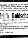 Record image of Siegfried Friedrich Goldscheider