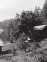 Record image of Sven Olofsson Söderberg