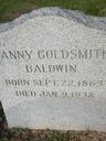 Record image of Fanny G Baldwin (born Goldsmith)