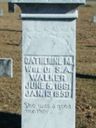Record image of Catherine Missouri WALKER (born Coleman)