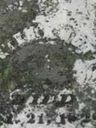 Record image of Deacon Peter Knott