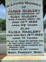 Record image of Elizabeth (Eliza) Hasleby (born Barlow)