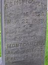 Record image of Esther M Montgomery (born Tracy)