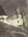 Record image of Zacarias Ruiz Real