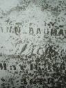 Record image of Anna Bowman (geb. Wohlgemuth)