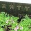 Photo item