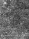 Record image of Trevor Williams