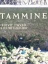 Record image of Toivo David Tamminen