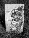 Record image of Calvin Perciville Adams
