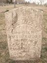 Record image of Sophia Elizabeth Warren (born Johnston)