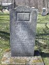 Record image of Sarah Jane Thomas (born Brand)