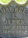 Record image of Chauncey Ether Jenks