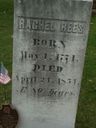 Record image of Rachel Rees (born Stroud)