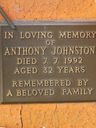 Record image of anthony thomas bruce johnston