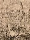 Record image of David G. White